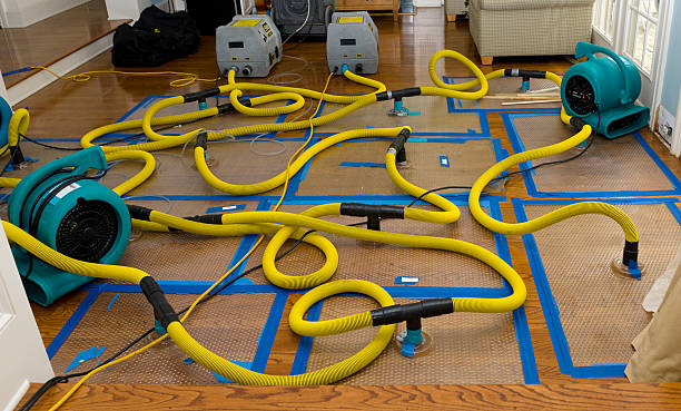 Professional Storm Water Damage Restoration technician working in Wayne, PA